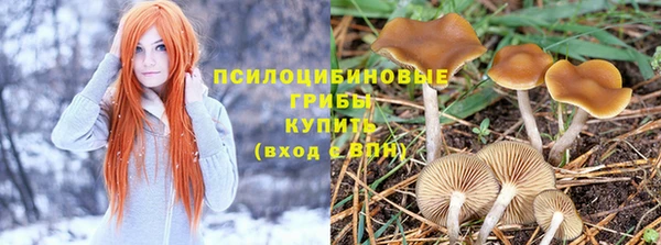 метадон Алексеевка
