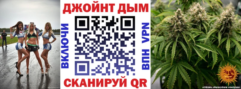 продажа наркотиков Цоци-Юрт Конопля сатива